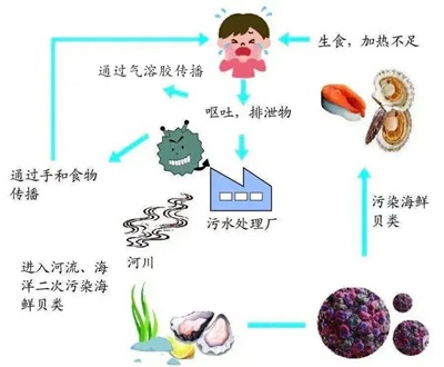 图片二.jpg 图片二.jpg