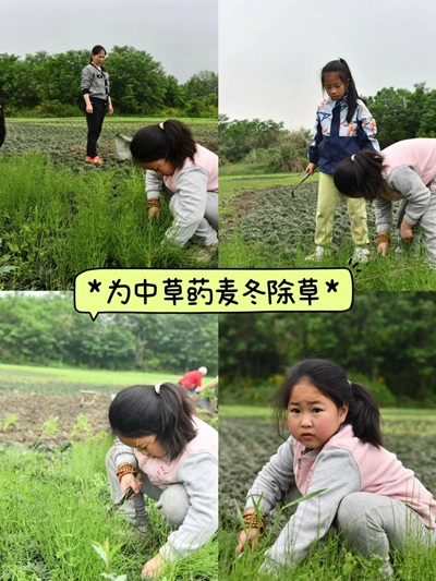 微信图片_20240505150344.jpg